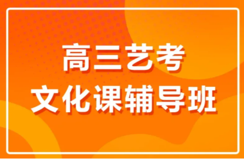 高三藝考生文化集訓學校