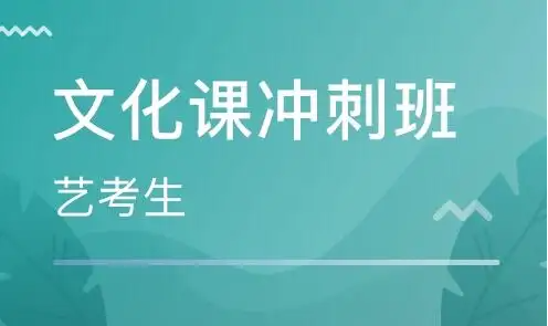 藝考高考文化課培訓(xùn)機(jī)構(gòu)