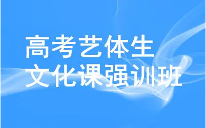 全日制藝考文化課培訓